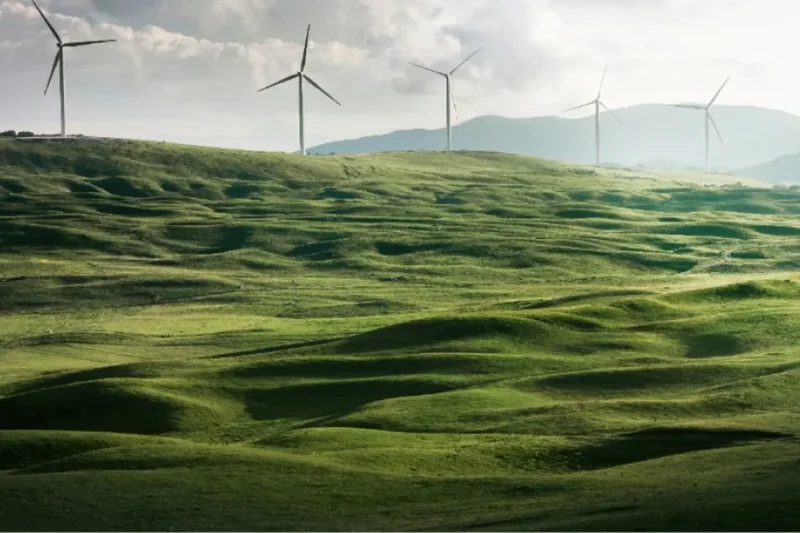 The Old School Yard Co: wind turbines across green hills, part of the renewable-energy world it supplies.